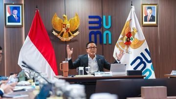Danantara Targetkan Sisa 250 BUMN Setelah Konsolidasi Masif Tahun Ini